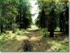 Land for Sale in Oregon, 2.3 Acres 2.3 Acres Oregon Land