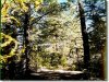 2.31 Acres of Oregon Land for Sale