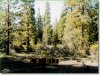 2.31 Acres of Oregon Land