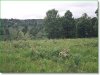 Watch the included video of this land 8.7 Acres Missouri Land