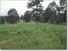 Watch the included land video 8.7 Acres Missouri Land