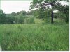 6.43 Acres of Cheap Missouri Land for Sale