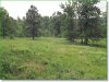 Watch the included land video 8.79 Acres Missouri Land