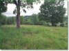 Missouri Land Auction, 5.41 Acres 5.41 Acres Missouri Land