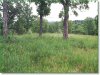 Owner Financing, $283 per month 6.7 Acres Missouri Land