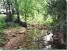12.75 Acres of Missouri Land for Sale