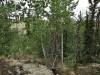 Colorado Land Auction, 1.04 Acres 1.04 Acres Colorado Land