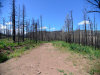 1.6 Acres of Colorado Land for Sale