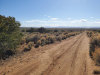 82.56 Acres of Colorado Land for Sale