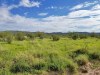 Texas Land Auction 40 Acres Texas Land