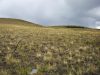 4.9 Acres of Colorado Land for Sale 4.9 Acres Colorado Land