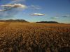 Cheap Monthly Payment of $129 5 Acres Colorado Land