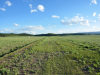 5.17 Acres of Colorado Land for Sale 5.17 Acres of Colorado Land for Sale