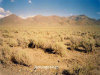 Nevada Land