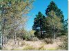 Oregon Land