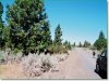 Oregon Land, 4.0 Acres