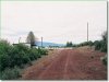 .38 Acres Oregon Land