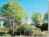 Oregon Land, 4.0 Acres