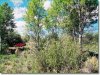 4.0 Acres of Oregon Land