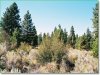 0.25 Acres Oregon Land