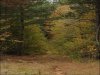 5 Acres of Tennessee Land for Sale