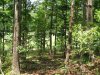 5 Acres Tennessee Land