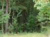 3.60 Acres of Tennessee Land