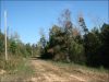 Watch the included video of this land 5 Acres Tennessee Land