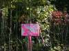 Tennessee Land Auction, 5 Acres 5 Acres Tennessee Land