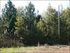 Tennessee Land for Sale, $270 per month 5 Acres Tennessee Land