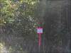 5 Acres of Land for Sale in Tennessee 5 Acres Tennessee Land