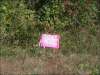 Tennessee Land for Sale, 5 Acres 5 Acres Tennessee Land