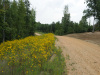 Tennessee Land for Sale