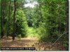 10.45 Acres of Cheap Tennessee Land for Sale