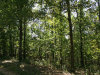 9.511 Acres of Missouri Land for Sale