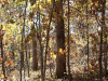 2.92 Acres, Missouri Land for Sale