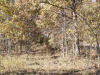 Land for Sale in Missouri, 2.92 Acres 2.92 Acres Missouri Land