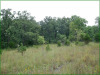 2.90 Acres of Cheap Missouri Land for Sale