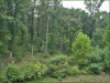 Missouri Land for Sale