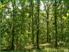 3.095 Acres Missouri Land