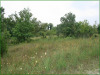 Missouri Land Auction, 2.398 Acres 2.398 Acres Missouri Land