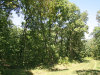 Missouri Land Auction, 2.9 Acres 2.9 Acres Missouri Land