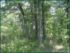 2.290 Acres Missouri Land