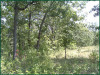 Missouri Land for Sale, 2.290 Acres