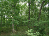 Land for Sale in Missouri 5.8 Acres Missouri Land