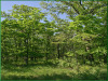 Missouri Land for Sale