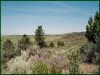 2.11 Acres Oregon Land