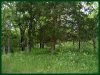 2.4 Acres Missouri Land