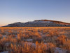 20 Acres of California Land for Sale 20 Acres California Land