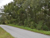 Florida Land for Sale, 0.5 Acres 0.5 Acres Florida Land